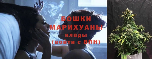 амф Богданович