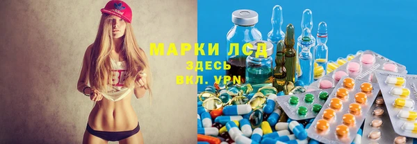 амф Богданович