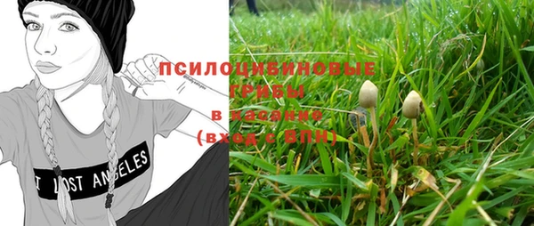 амф Богданович