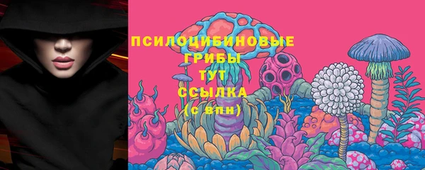 амф Богданович