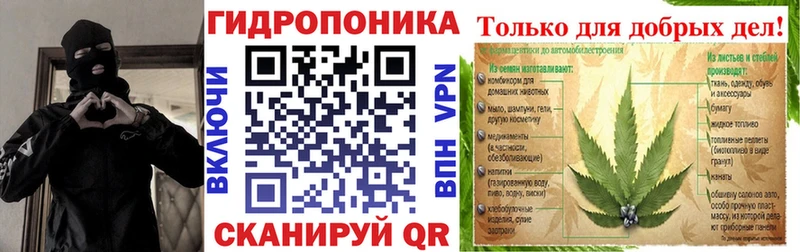 как найти наркотики  Новосокольники  Шишки марихуана тримм 